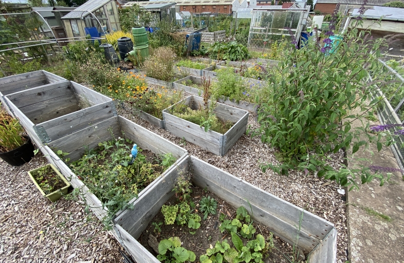 Allotment