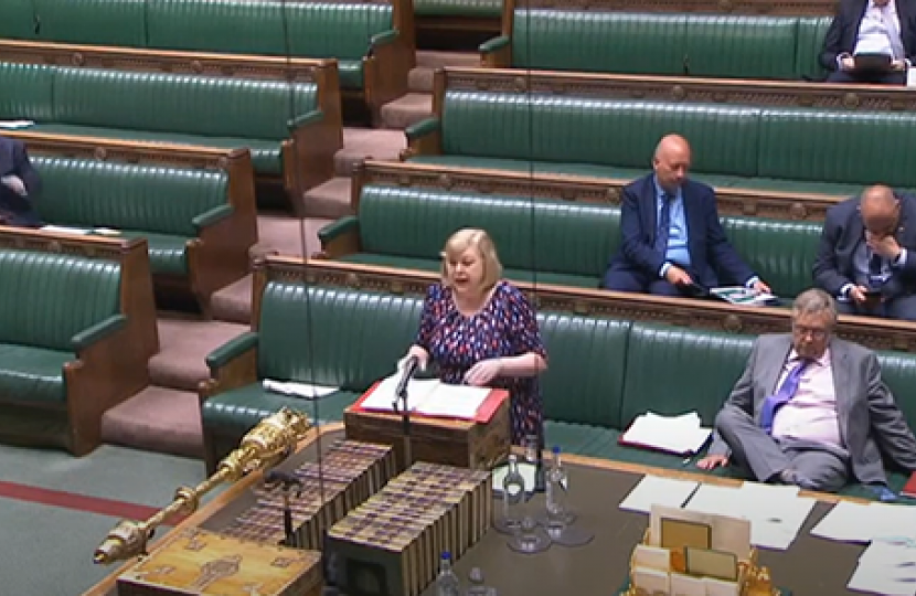 Jane speaking at the despatch box on this issue